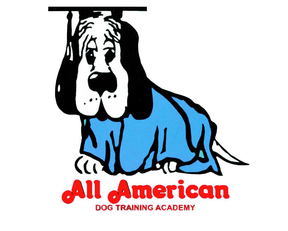 famous dog trainers in florida